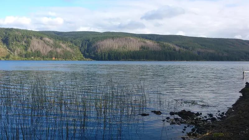 Lago Lleu Lleu