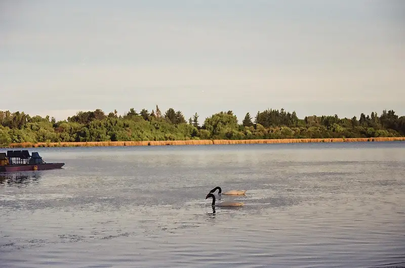 Laguna Avendaño